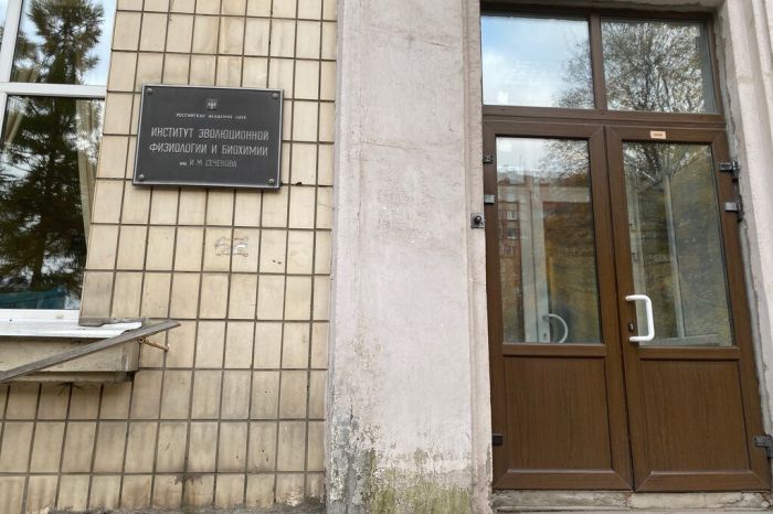 Правительство упростило получение грантов научными центрами мирового уровня