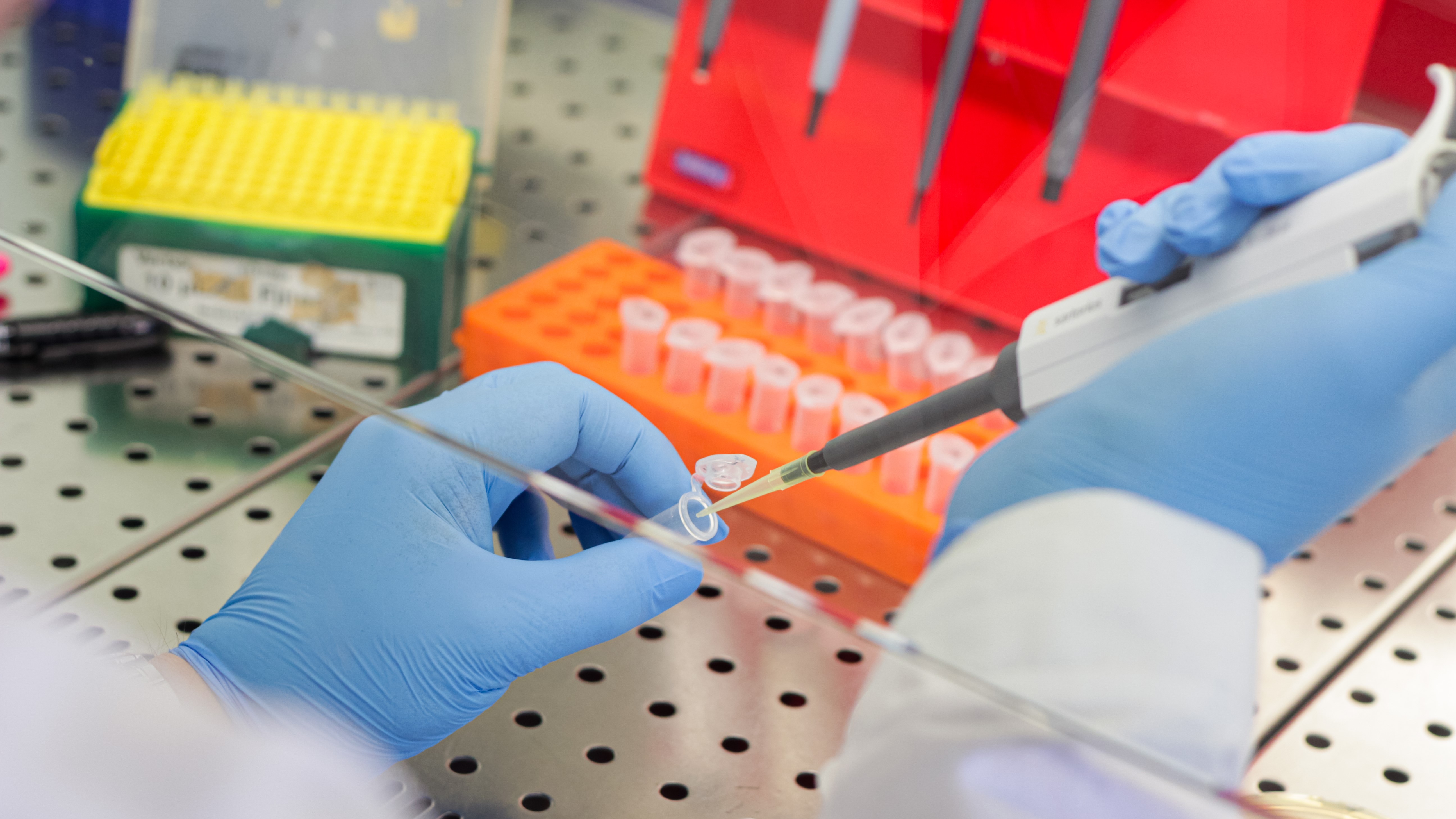 Ученый КФУ о новом штамме COVID-19: «Эволюция вируса продолжается»