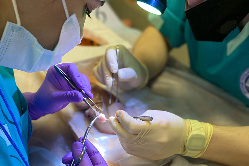 Победой студентов Курского медуниверситета завершилась студенческая олимпиада по хирургии