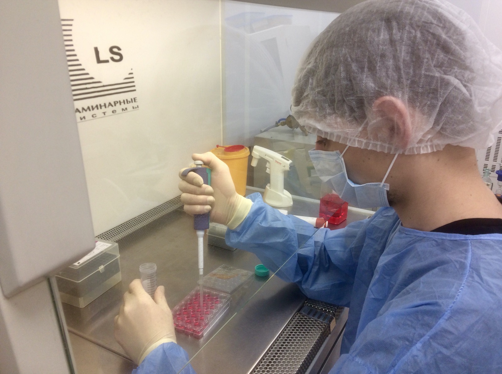 Ученые СамГМУ разрабатывают тест-системы для оценки эффективности противовоспалительных лекарств