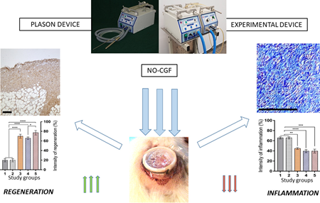 Ученые тестируют устройство для быстрого заживления ран