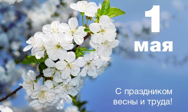 Уважаемые коллеги! Дорогие друзья!