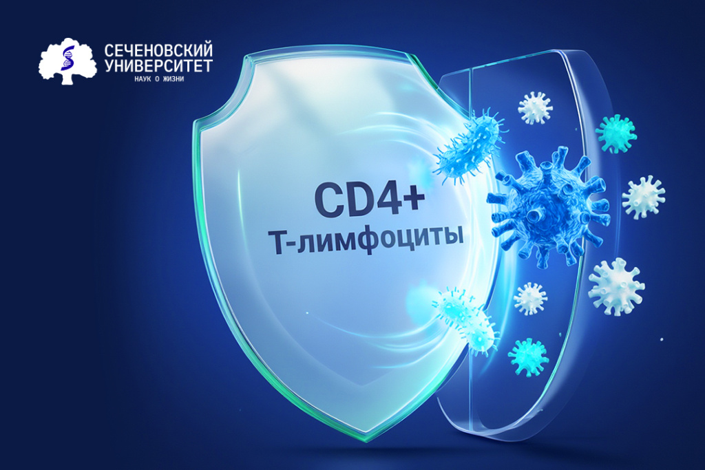 Ученые Сеченовского Университета научились прогнозировать траекторию старения иммунной системы