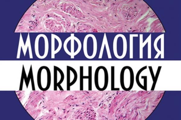 Научная статья сотрудников Новосибирского ГМУ признана лучшей Научным медицинским обществом анатомов, гистологов и эмбриологов России