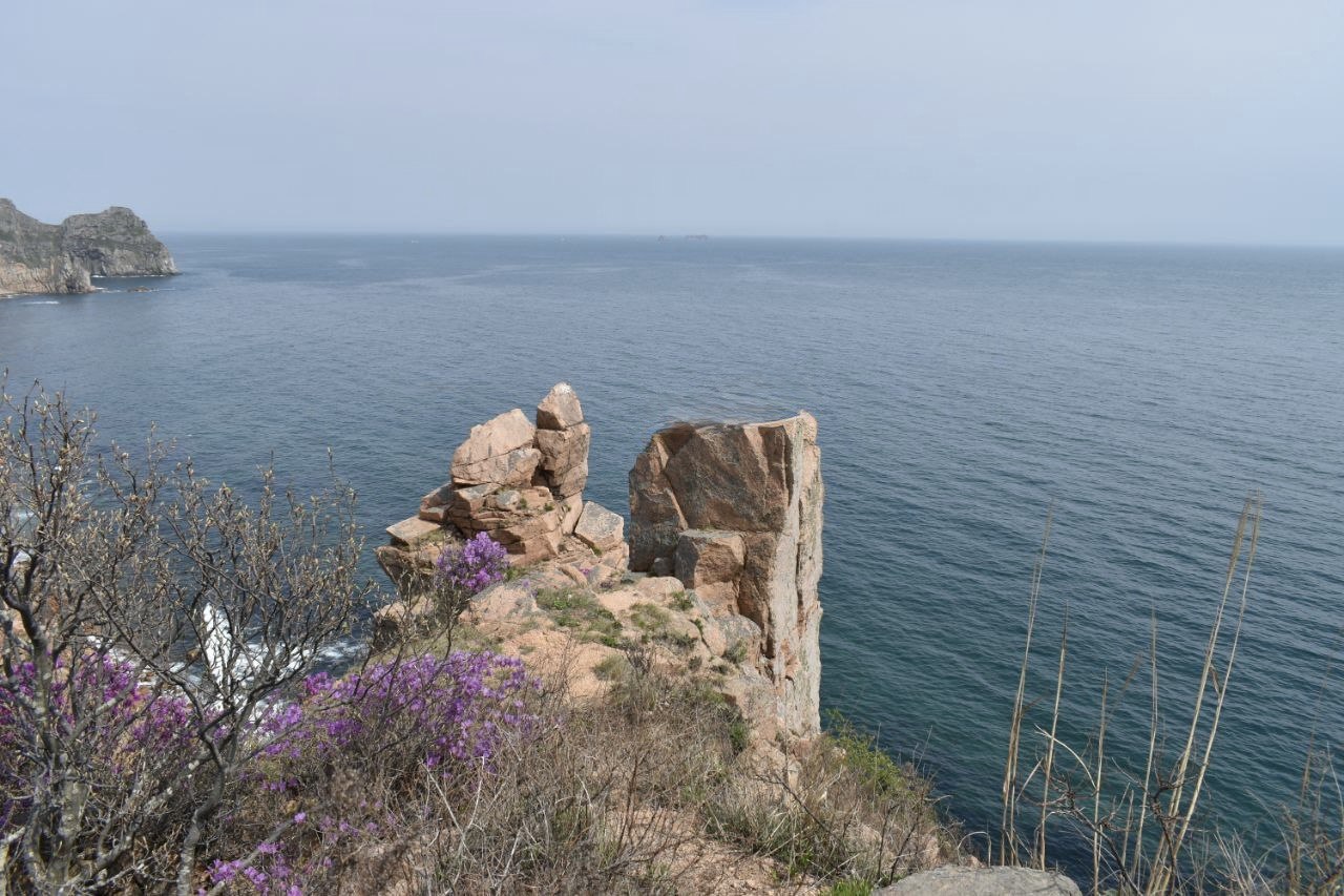 Мысам острова Рейнеке присвоены имена выдающихся ученых Дальнего Востока