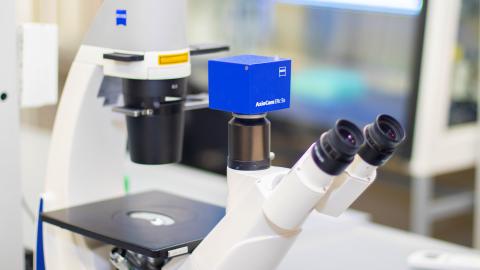 Разработки ученых КФУ по борьбе со старением получили высокое международное признание