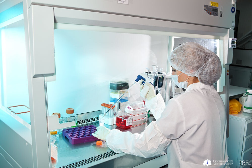 Прорыв в травматологии: в Сеченовском Университете начали лечить патологии коленного сустава с помощью собственных клеток пациента