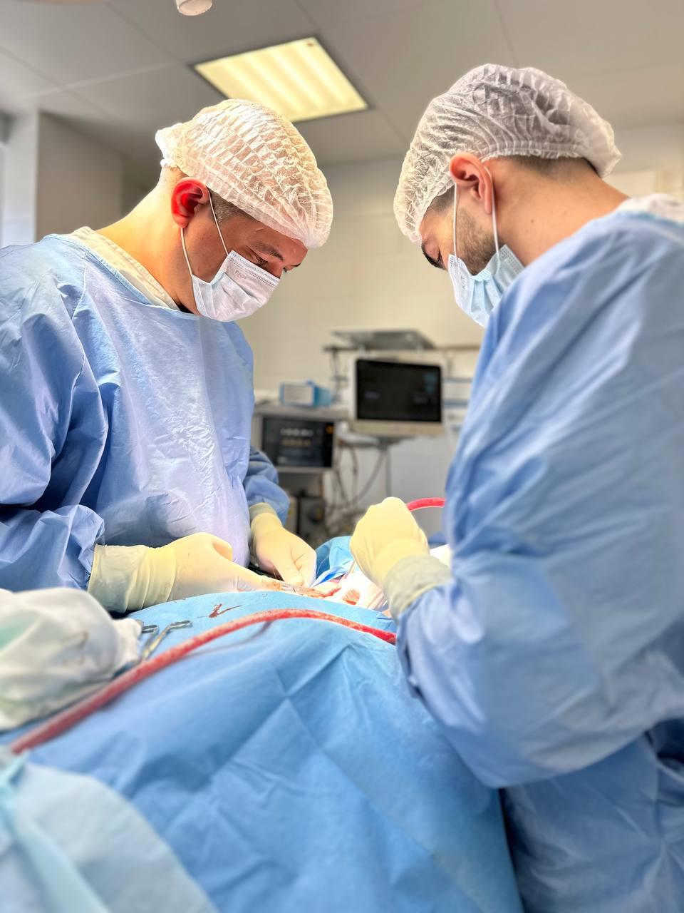 Учёные Красноярского ГМУ Минздрава России усовершенствовали хирургический доступ при увеличении объёма кости верхней челюсти