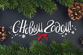 Поздравление П.В. Глыбочко с наступающим Новым годом!